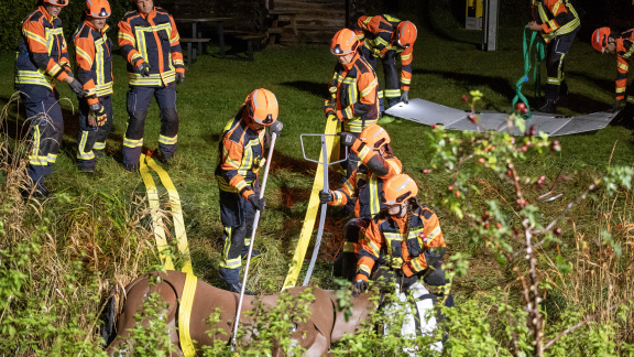 Großtierrettung im Kreis Schleswig-Flensburg: Fachgruppe trainiert gemeinsam in Idstedt